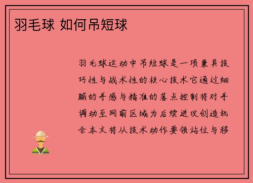 羽毛球 如何吊短球