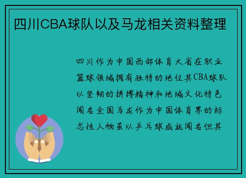 四川CBA球队以及马龙相关资料整理